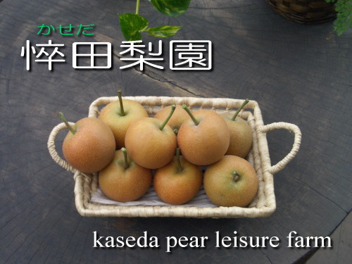 �悤�������c������(�C���X�g�͒}��F�q�搶�ɏ����Ă������������X�̊G�ł��j
