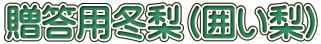 p~i͂j