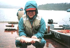 �u�S�ʁv �֓� ��