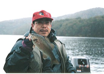 �u�Q�ʁv �r�J ���A