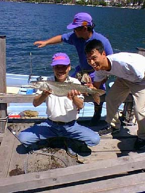 �u�D���v ���c �a�v