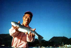 �u�Q�ʁv �ˍ� ���s