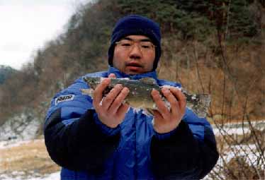 �u�D���v �R�{ ���I