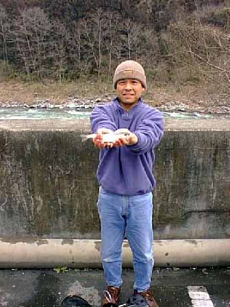 �u�D���v ���c�@�a�v