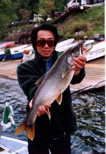 �u�D���v �c�� ����