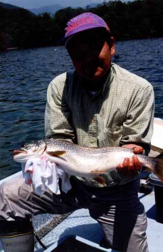 �u�Q�ʁv ���΁@�ەv