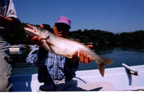 �u�R�ʁv �ˍ�@���s