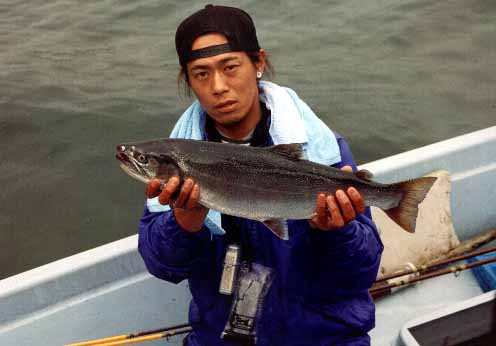 �u�D���v �����@�h�L