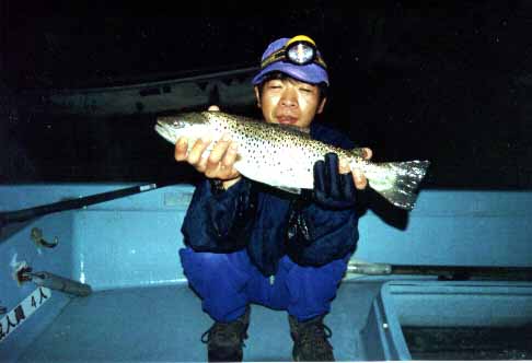 �u�R�ʁv �s�� �V�s