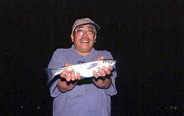 �u�R�ʁv �r�J�@���A