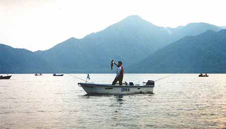 �u�Q�ʁv �_�V ���L