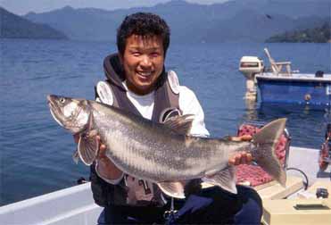 �u�D���v ��c ���l