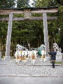 �F��{�{��� 