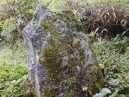 �R��m����