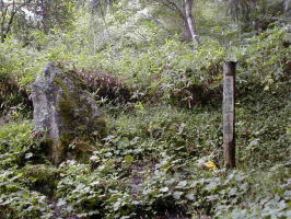 �R��m����