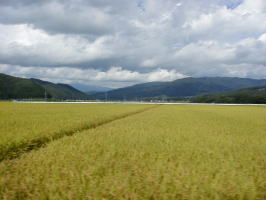 ���r��R��]��