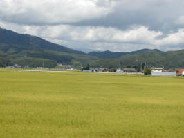 ���r��R��]��