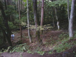 �ٌc�̒��Q��