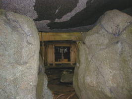 ���΂̉��{