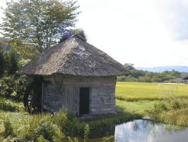 �R���̐��ԏ���