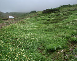 2001asahidake3.jpg (20077 �o�C�g)