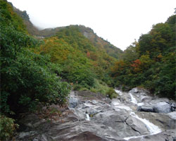 2001makihata1.jpg (16149 �o�C�g)