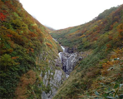 2001makihata2.jpg (17695 �o�C�g)