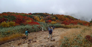 2001makihata5.jpg (23861 �o�C�g)