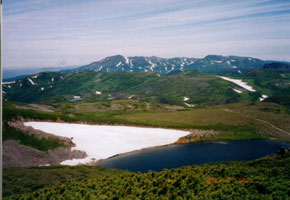 2001tomurausi6.jpg (16722 �o�C�g)