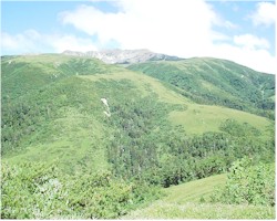2000yakusi2.jpg (19903 �o�C�g)