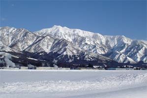 2001yamagoya2-2.jpg (18360 �o�C�g)