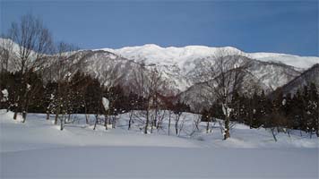 2001yamagoya2-3.jpg (18469 �o�C�g)